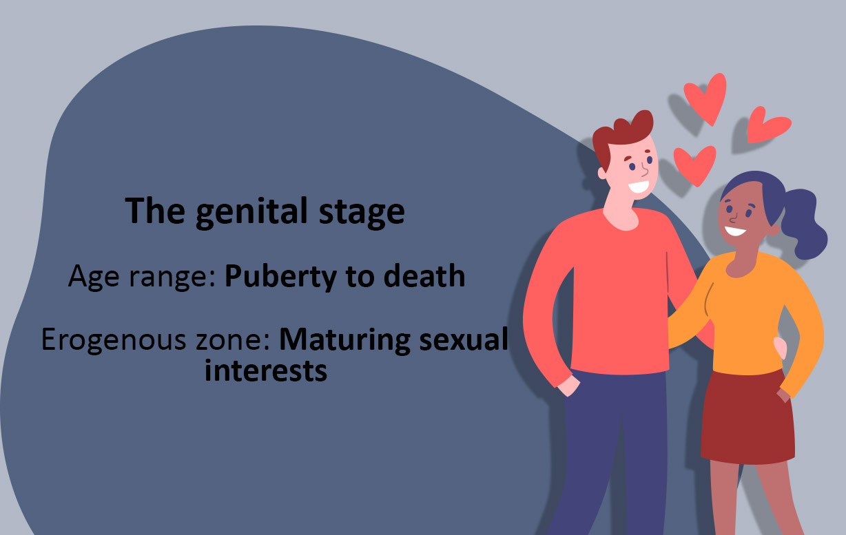 FREUDIAN - The Genital Stage