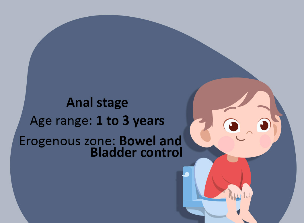 FREUDIAN - Anal stage