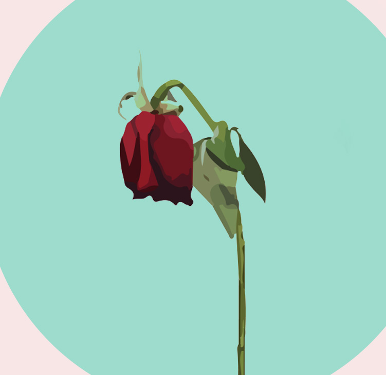 A bent flower